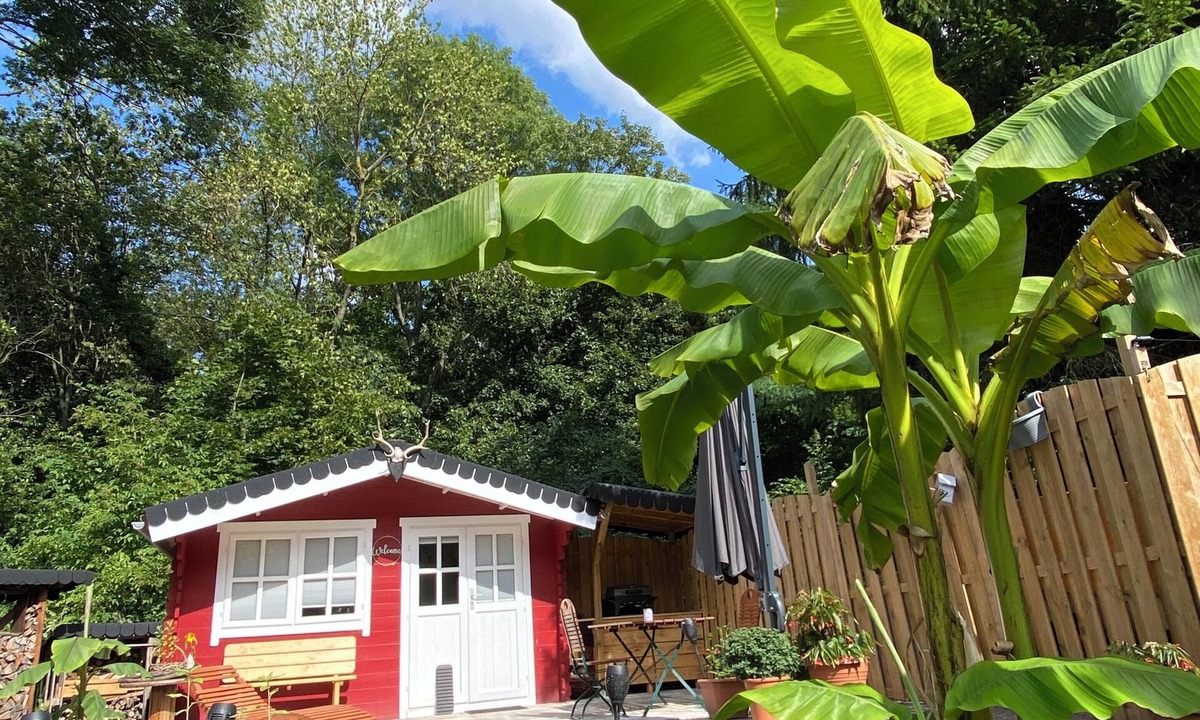 Suedwest Cabin | Small cozy forest cottage🏡 in Leipzig right on the edge of the forest to enjoy😊