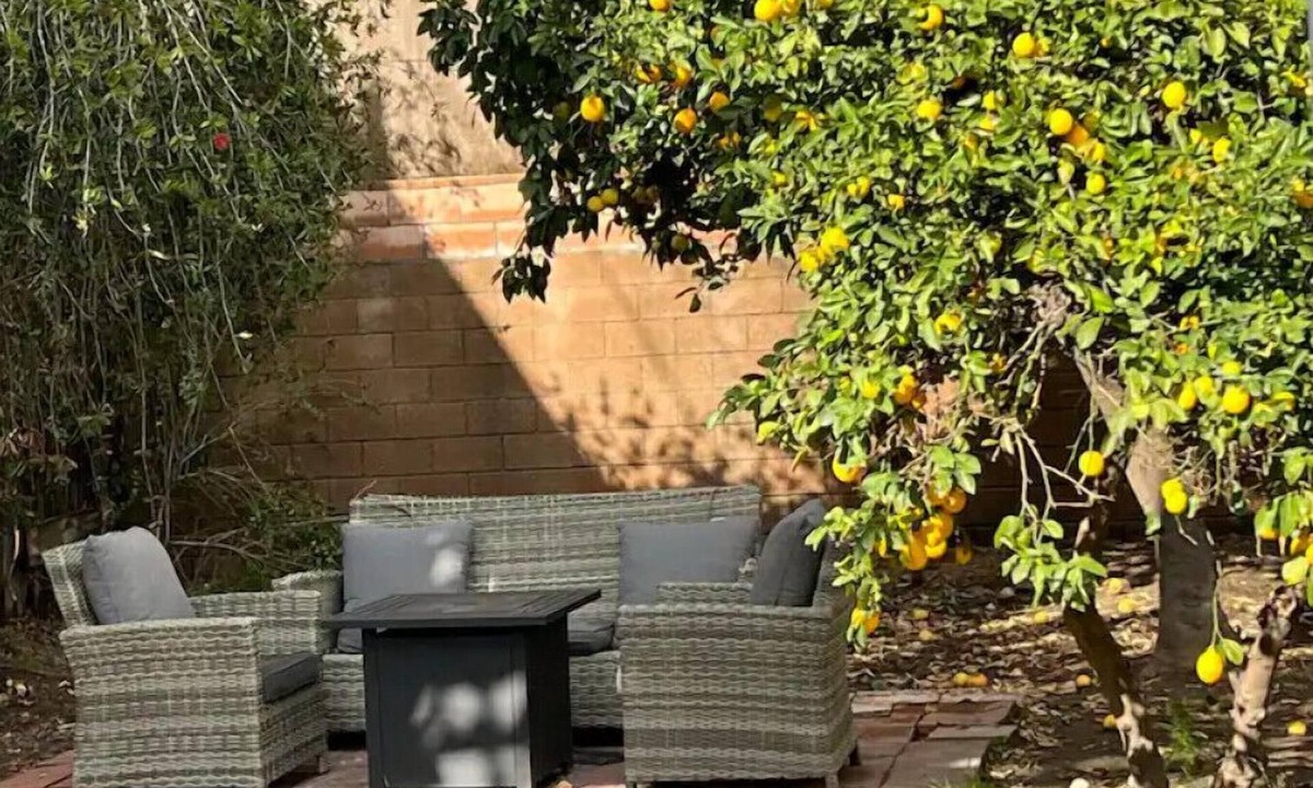 Glendale House | Small frame w/a BIG backYard.
