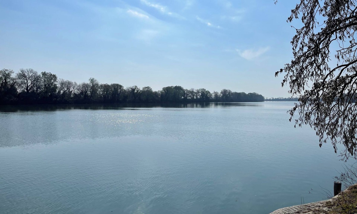 Sylvereal House | Small semi-detached house in the Camargue on the banks of the Petit Rhône