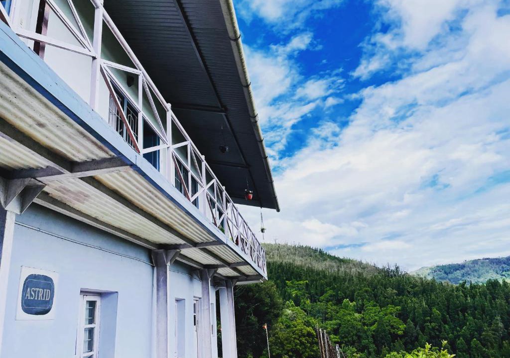 Wellington House | Smoking Hill