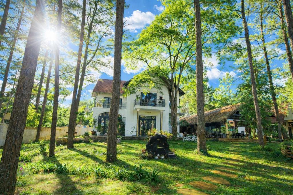 Kon Plong Hotel | Snghe's Măng Đen Garden Villa