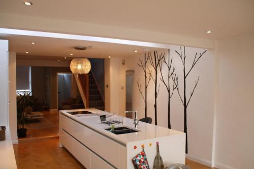 Gallt Y Foel House | Snowdon View