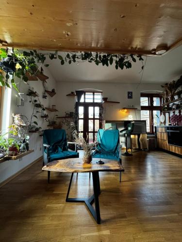 Centrul Vechi Villa | SoDoSoPa