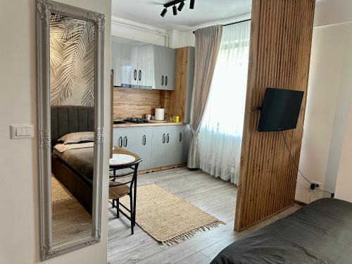 Tirgu Neamt Apartment | Sofia Residence Studio Cetate