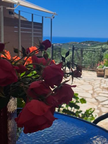 Agia House | Sogno 2