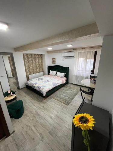 Galati Apartment | Solaria Studio
