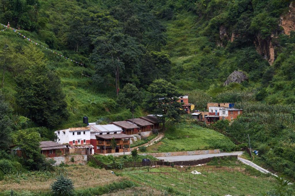 Kathmandu Hotel | Solid Rock - Lodge & Restaurant