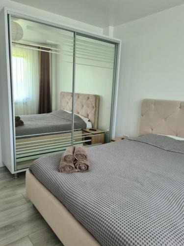 Valea Lupului Apartment | Somad Apartment