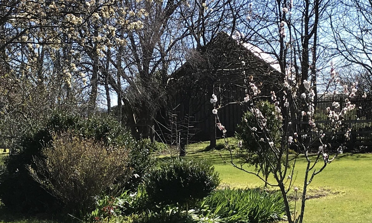 Somerset Other | Somerset Caravan Park