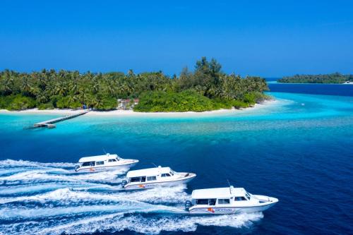 Male Boat Rental | Sonary Building Boduthakurufaanu Magu, Male' Republic of Maldives