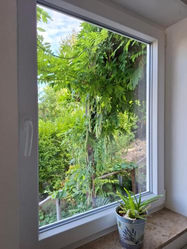 Leinsweiler Apartment | Sonnenberg Wohnung im Haus Frey 2 BR, Küche, Bad, Parken