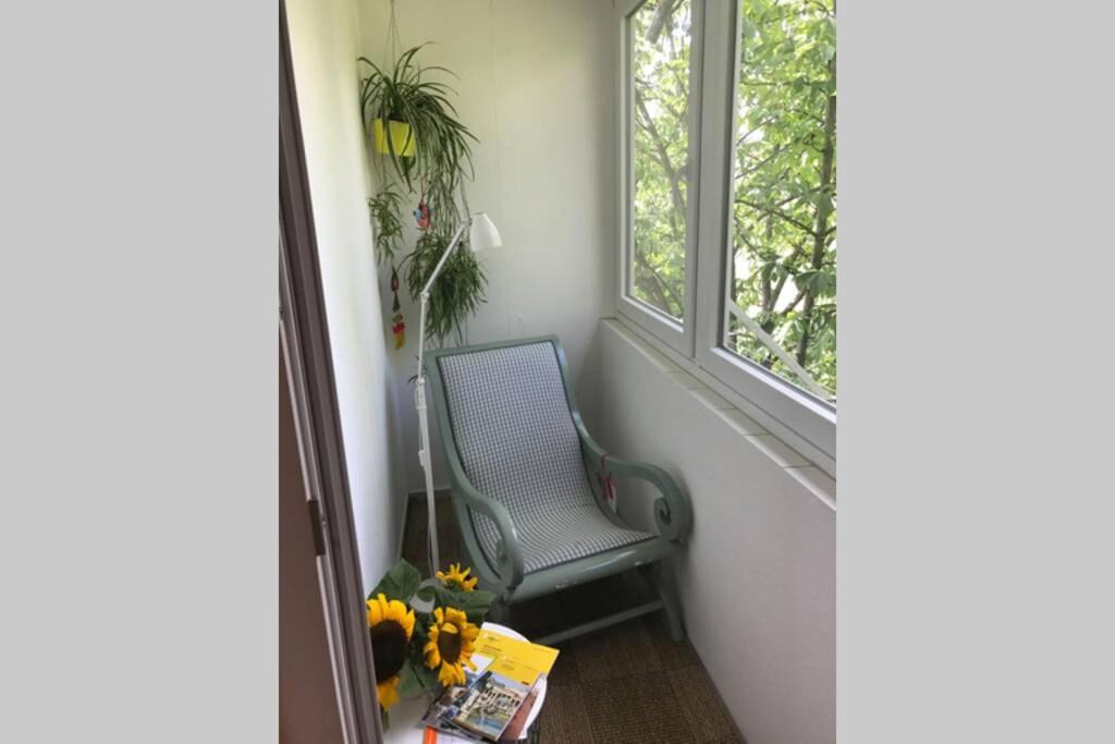 Ostheim Apartment | Sonnige 2-Zimmerwohnung mit Veranda