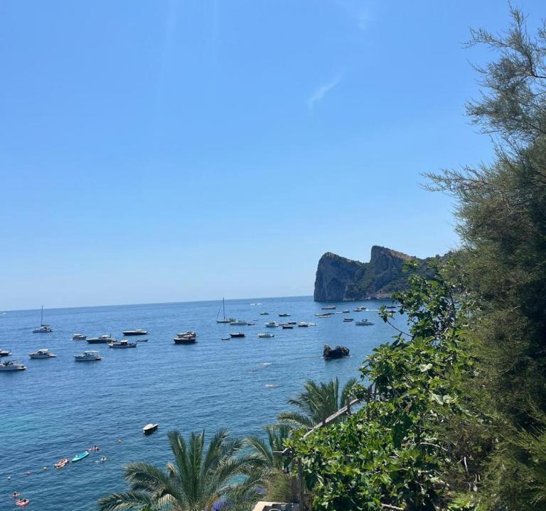 Marina del Cantone House | Sorrento apartment with terrace on the sea free parking