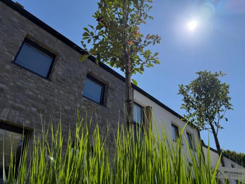 Redu House | sous les feuilles Redu