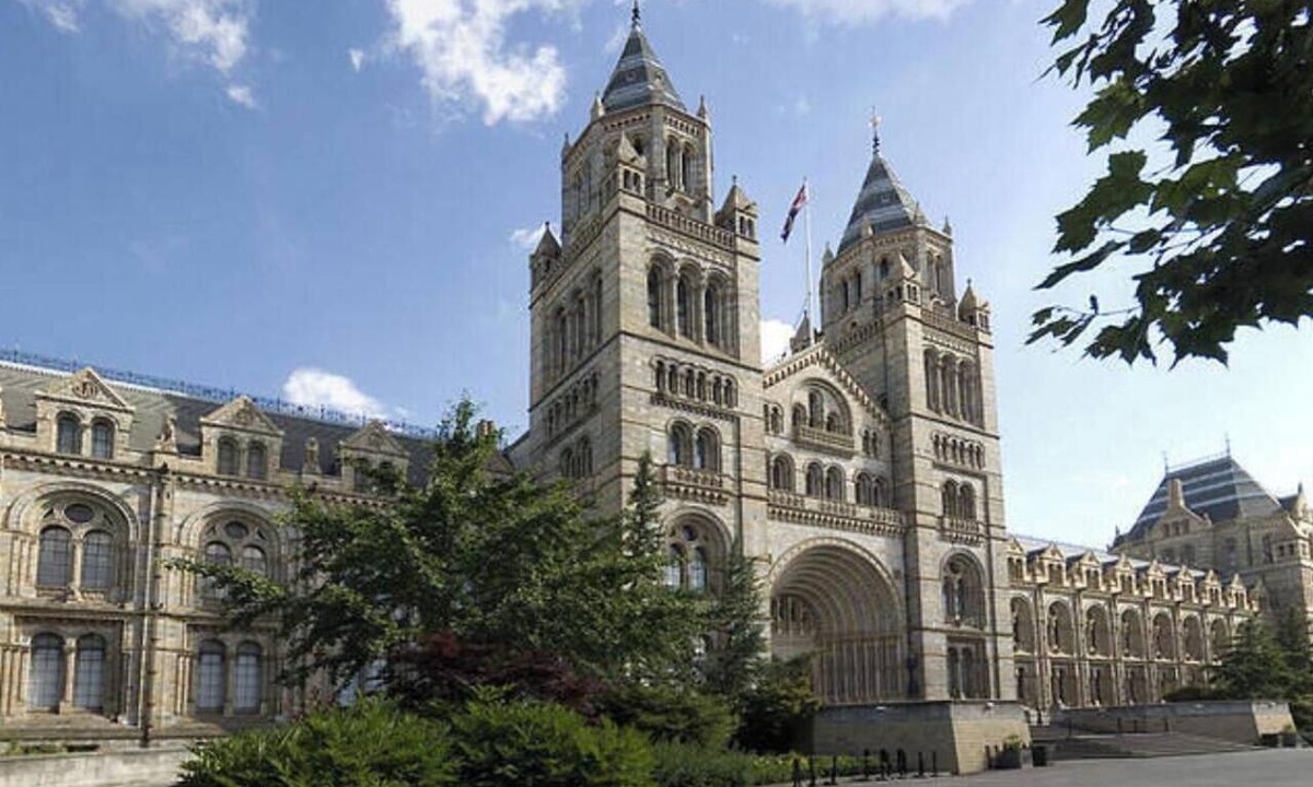 South Kensington Apartment | South Kensington Luxurious & spacious Three Bedroom Apartment