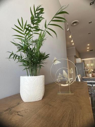 Alepou Apartment | Sp+P apartment