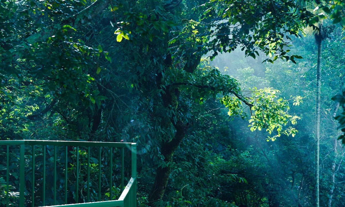 Kalpetta Resort | Space Rock Resort