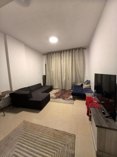 Barsha Heights Apartment | Spacious 1 Bedroom Hall & kitchen