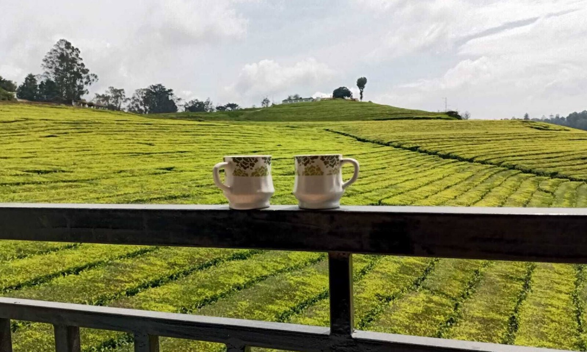 West Mere House | Spacious and serene space with Tea Estate view from every room.n
