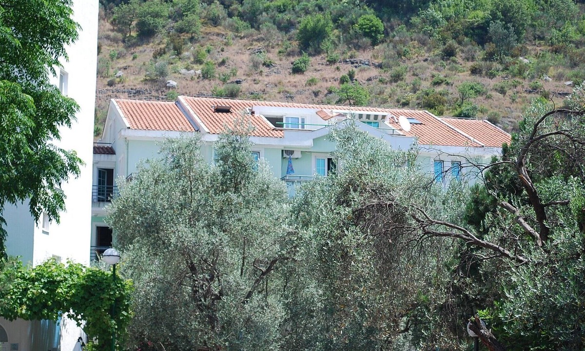 Rafajlovici Apartment | Spacious apartment on the Budva Riviera, 350 metres from a beautiful beach