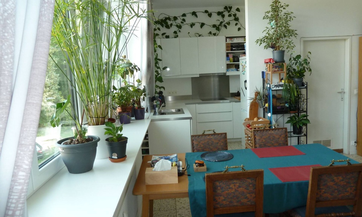 Profondeville Apartment | Spacious, bright and comfortable apartment - located in the forest in the valley