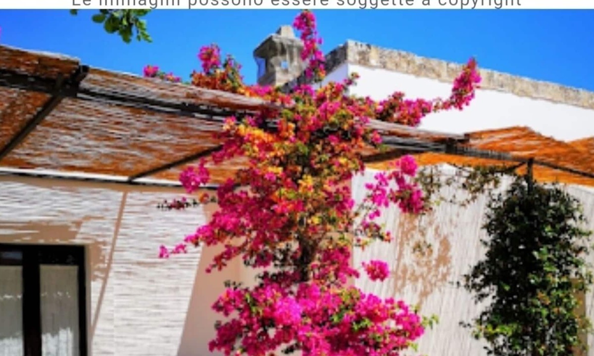 Rosa Marina Bed & Breakfast | Spacious double room in ancient Masseria near the sea in a quiet olive trees.