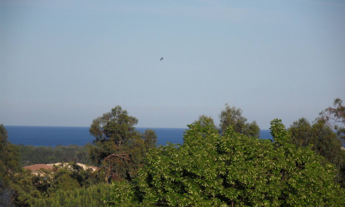 Folelli Villa | Spacious ground floor of a villa with shaded terraces, quiet, close to the beaches