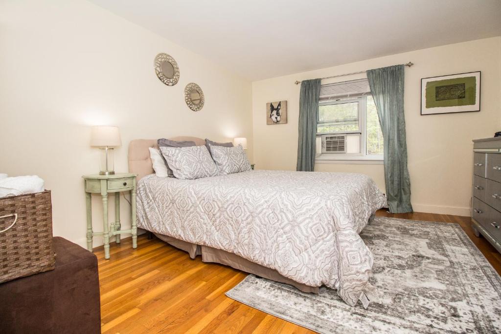 Brookline Apartment | Spacious, Homey, 1Bed close to Longwood Medical, Boston