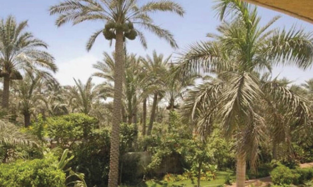 Al Fayoum Villa | Spacious Luxurious Villa 1,200 meters away from Sakkara (Djoser) Step Pyramid