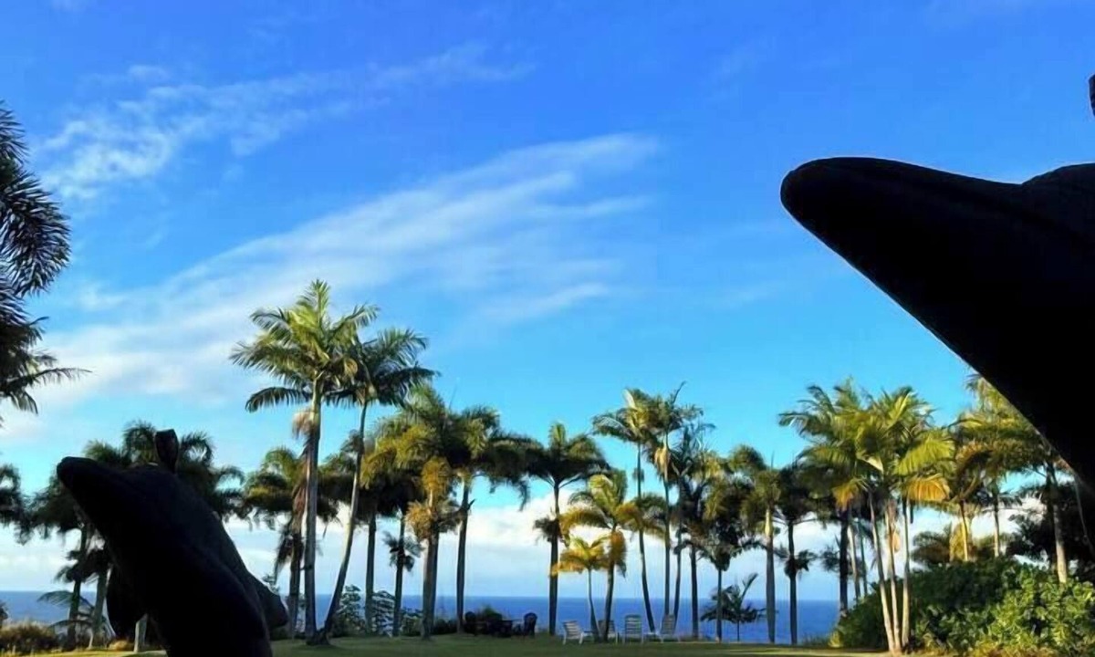 Hakalau Apartment | Spacious Oceanfront Retreat | Enjoy Outdoor Games & BBQ Fun