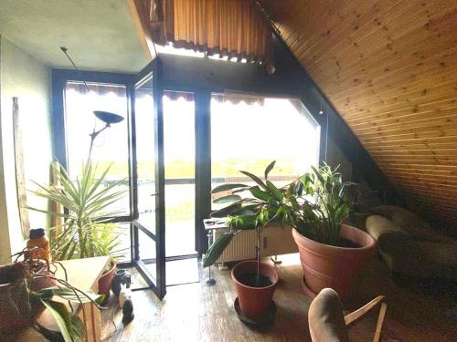 Weiden Apartment | Spacious Residence for Exhibitors & Business Teams