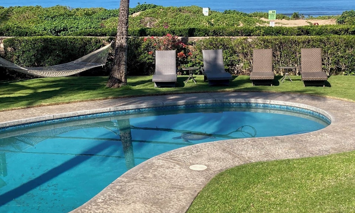 Kihei House | Specials - Sep-Dec, Tropical Oceanfront Estate, Pool, Gated, Privacy, Ocean view