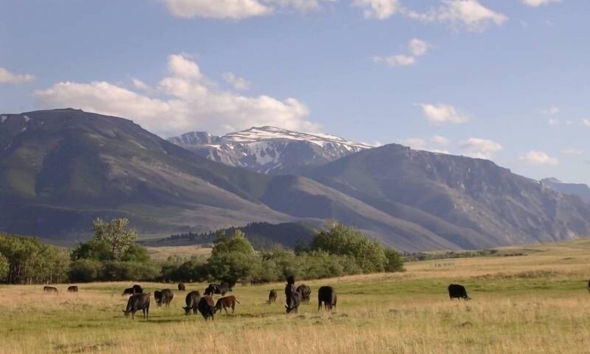 Roscoe House | Spectacular Mountain Views! Private Riverfront Access! All the comforts of home!