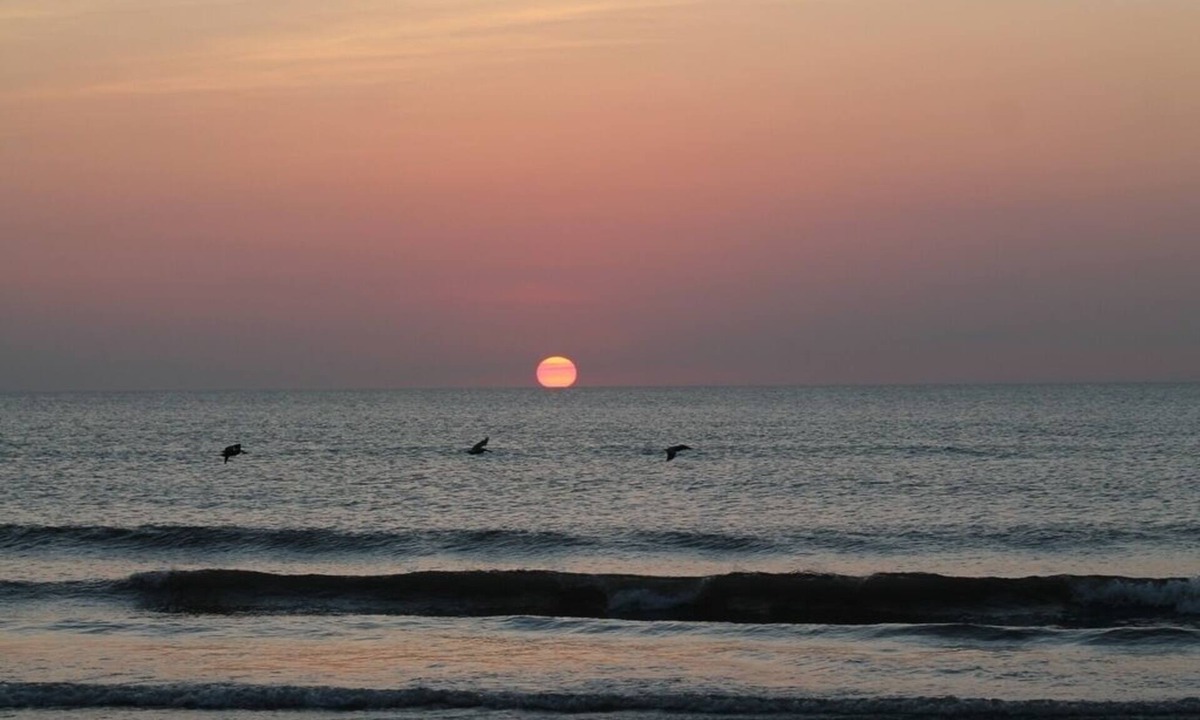 Ormond-by-the-Sea Condo | Spectacular Ocean and Pool View Ormond Beach Florida Condominium