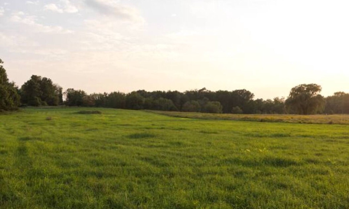 Town of Marbletown House | Spectacular Views! Large Home on 63 Acre Farm