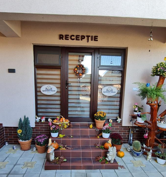 Fagaras House | Splendid House
