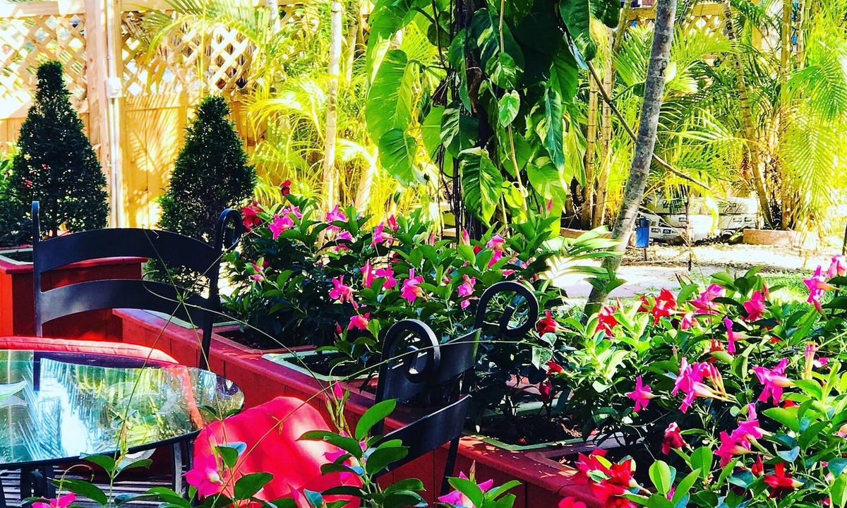 Overtown House | SPRING GARDEN OASIS ~ Just 5 minutes away from everything in Miami ~