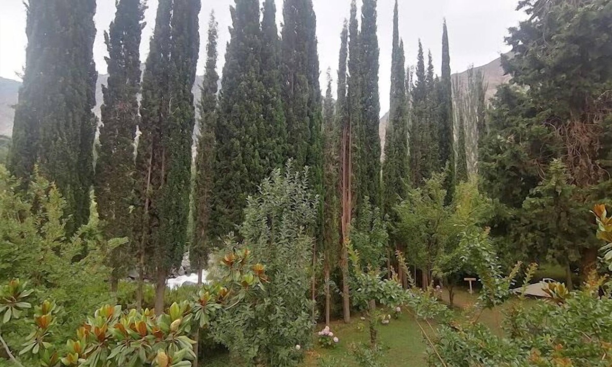 Gilgit Resort | Springfield Resort Gilgit