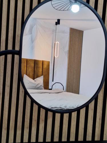 Ocna Mures Apartment | Ssalamandra home's