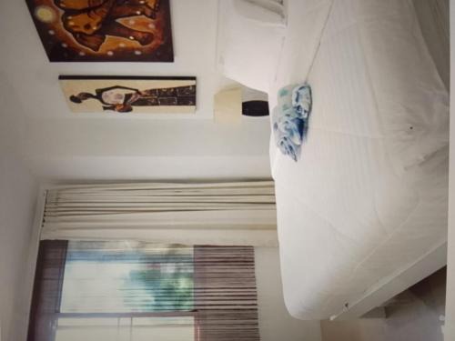 Monterrey Hotel | Star light hotel