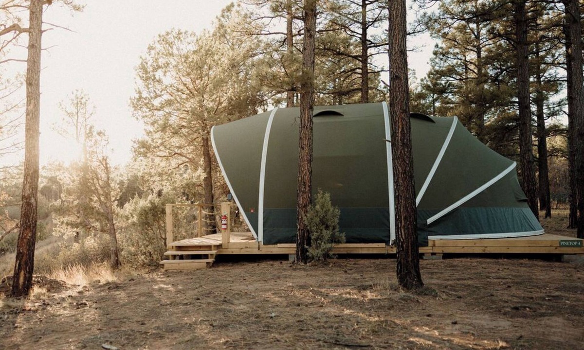 McIntosh Cabin | Starry Skies Glamping Escape
