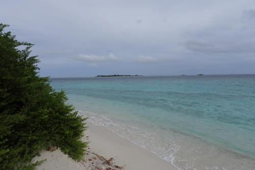 Thinadhoo House | Stay Kora