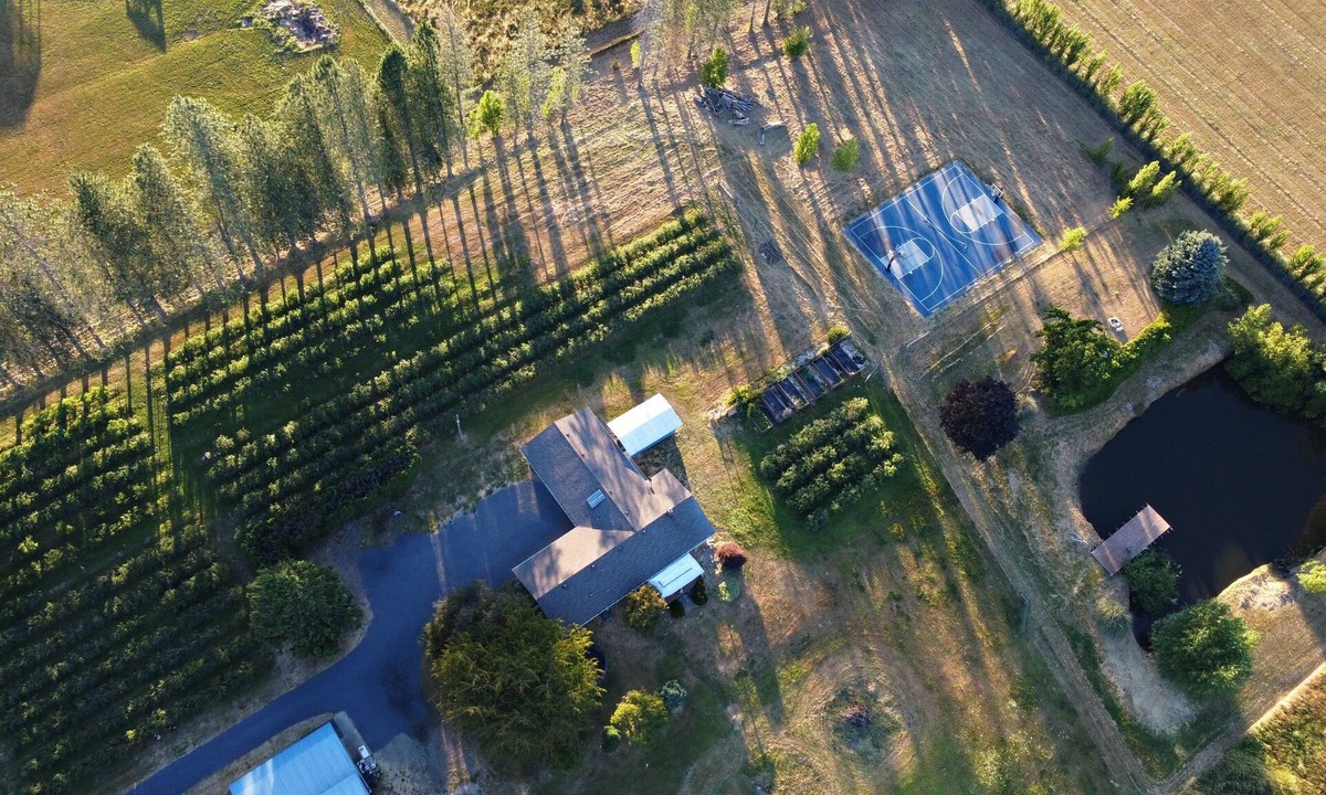 Dollar Corner Other | Stay on a Blueberry Farm! Cute Farmhouse with Pickleball Court!