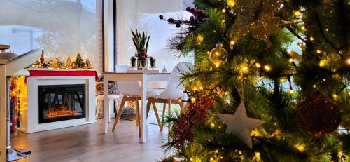Pacengo Bed & Breakfast | Stella del Garda