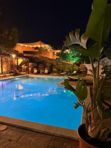Agia Ermioni Apartment | Stenakas Apartments