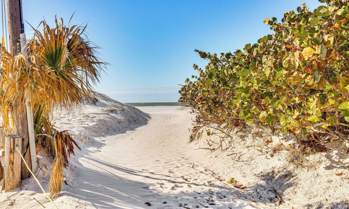 Clearwater Beach Apartment | Steps to Shore: Walkable Clearwater Beach Condo
