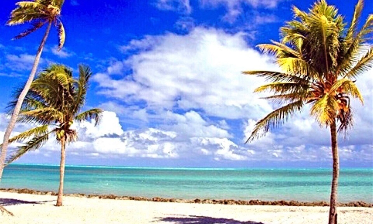 Key Biscayne Apartment | Steps to the Sand, Cozy 1 Bedroom Getaway with Pool -