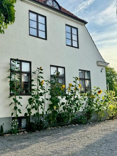 Landskrona Hostel | STF Landskrona Hostel