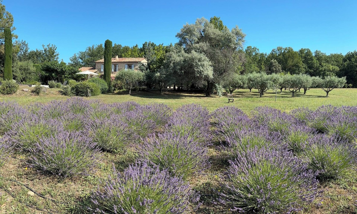 Cucuron House | Stone villa with pool, view and privacy in South Luberon close to best villages