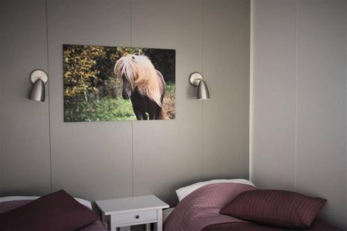 Sveitarfelagid Olfus Apartment | Strýta Apartment 3